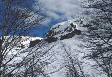 Skining up thorugh the forest west of the normal route