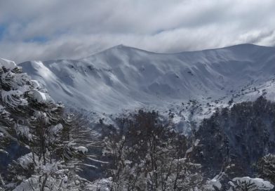 La Caida, Malalcahuello